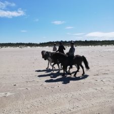 Ridetur på stranden